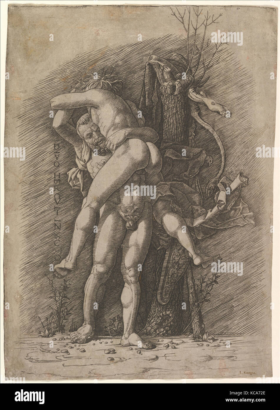 Hercule et Antée, l'École d'Andrea Mantegna, ca. 1497 Banque D'Images Hercule et Antée, l'École d'Andrea Mantegna, ca. 1497 Banque D'Images