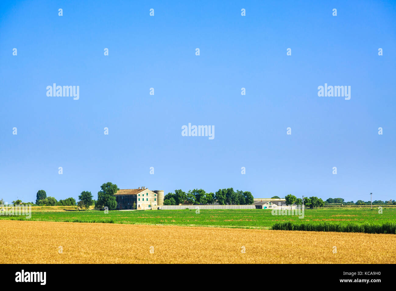 Photo d'un foin et un champ vert avec deux chambres avec une clôture et d'arbres en une journée ensoleillée avec un ciel bleu. Banque D'Images