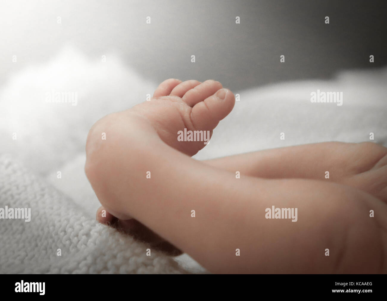Pied Bot Banque D Image Et Photos Alamy