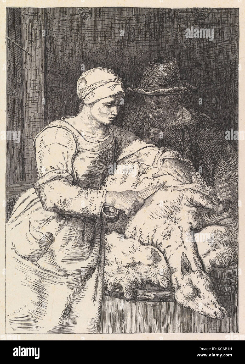 Le Sheepshearer, 19e siècle, gravure sur bois, gravures, Henry Linton (britannique, Londres 1815-1899), après Jean-François Millet (Français Banque D'Images