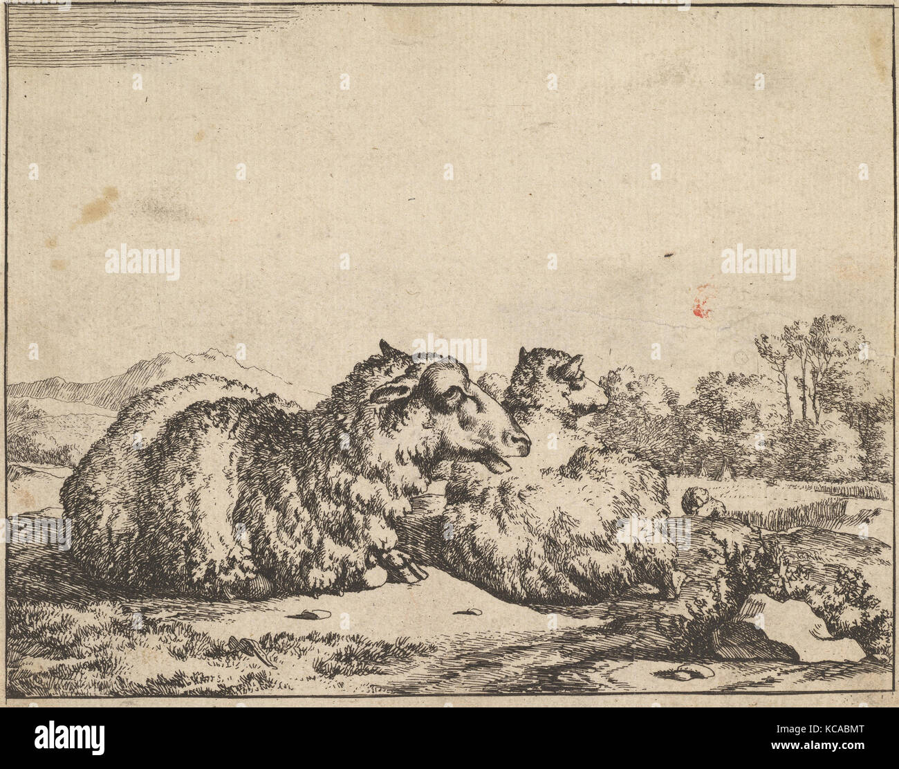 Les moutons, à partir d'un ensemble de 16 planches, Marcus de Bye, 1664 Banque D'Images