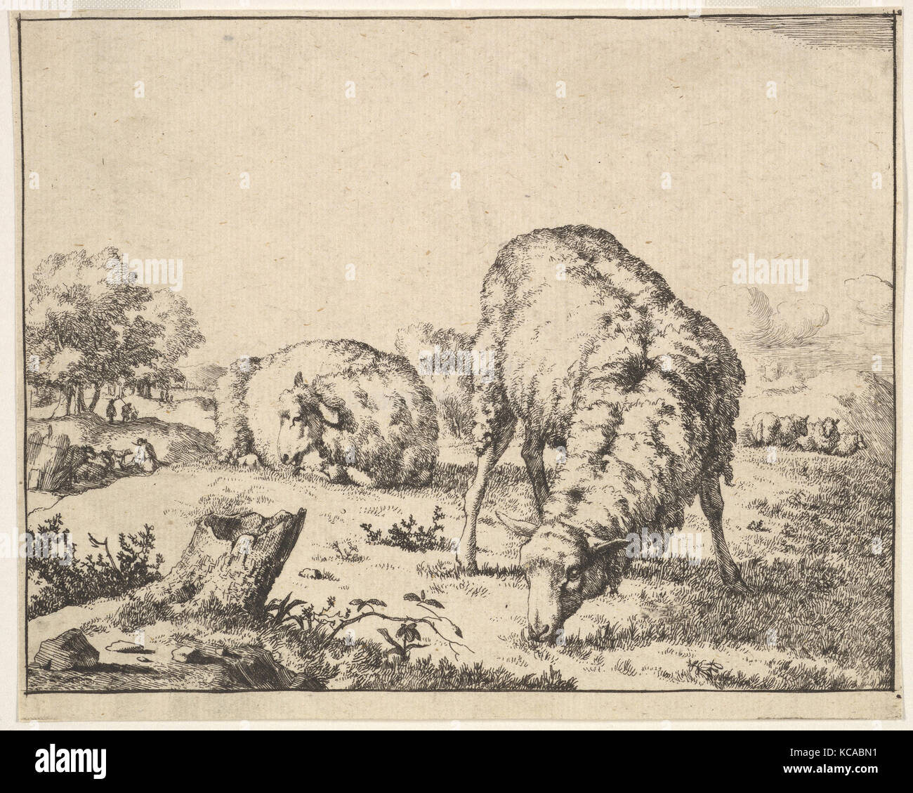 Les moutons, à partir d'un ensemble de 16 planches, Marcus de Bye, 1664 Banque D'Images