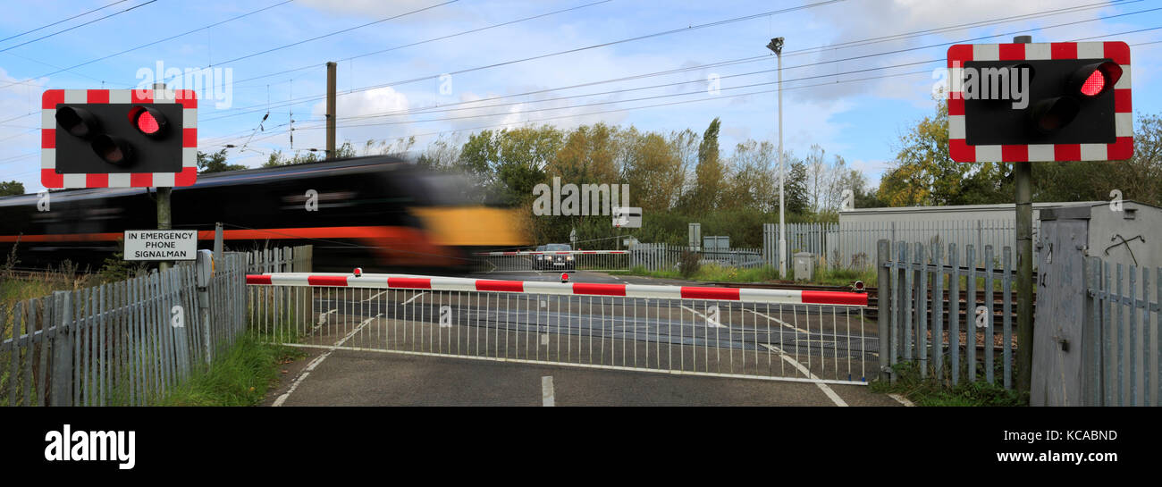 Train les feux rouges à un passage à niveau sans pilote, East Coast Main Line Railway, Peterborough (Cambridgeshire, Angleterre, RU Banque D'Images