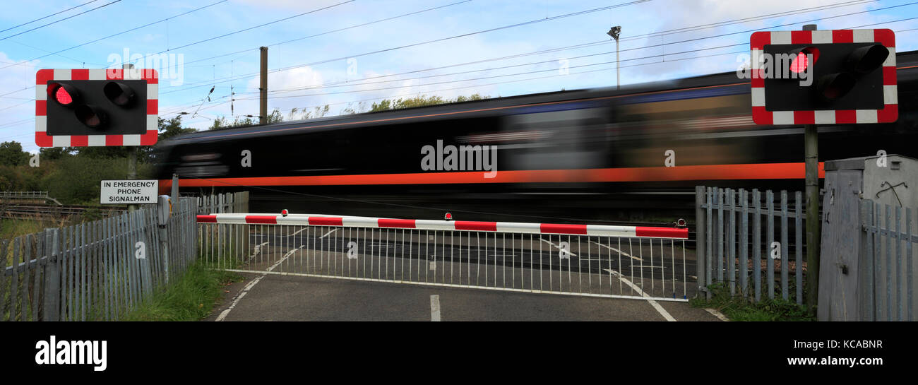 Train les feux rouges à un passage à niveau sans pilote, East Coast Main Line Railway, Peterborough (Cambridgeshire, Angleterre, RU Banque D'Images