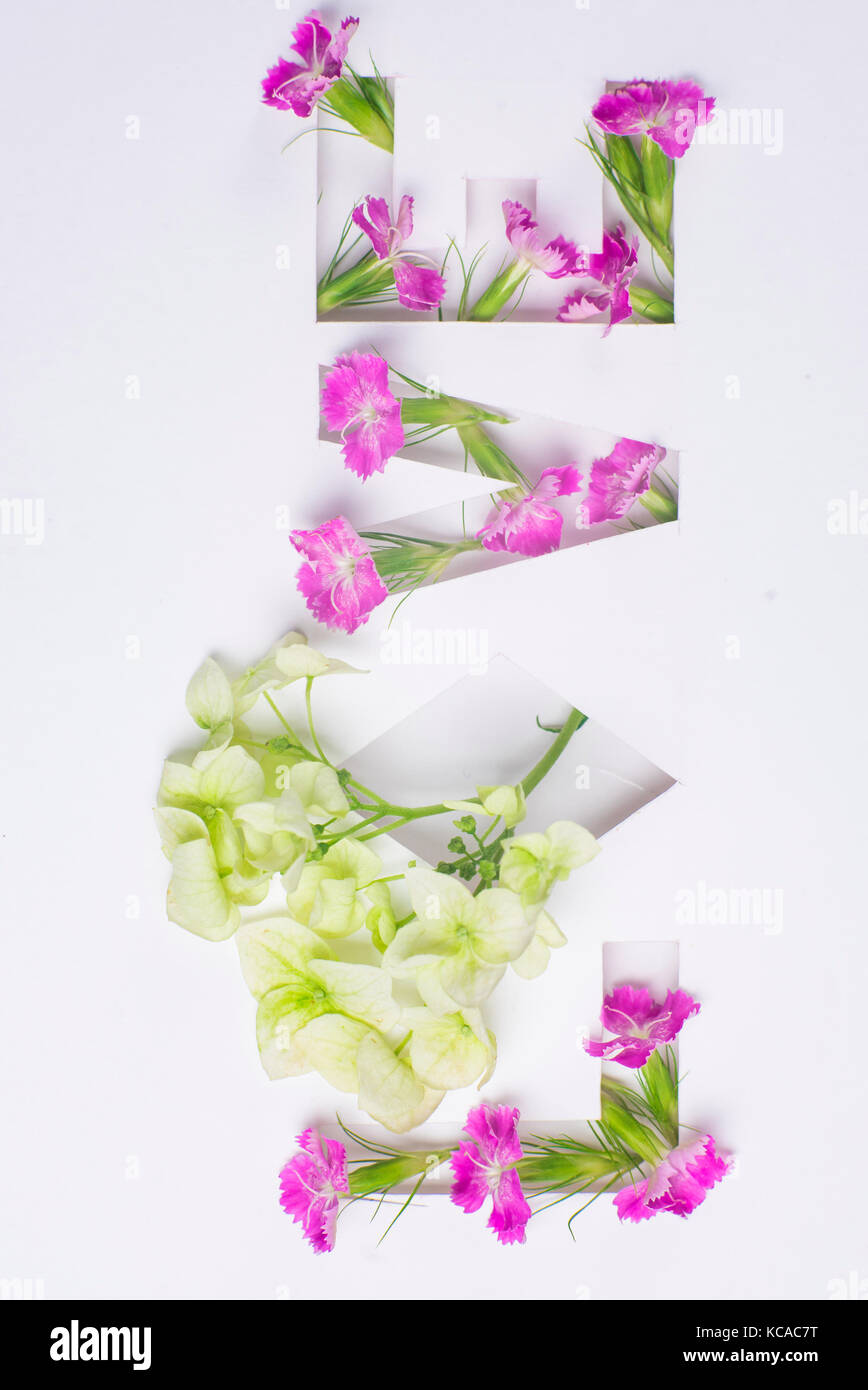 L'inscription l'amour de fleurs Banque D'Images