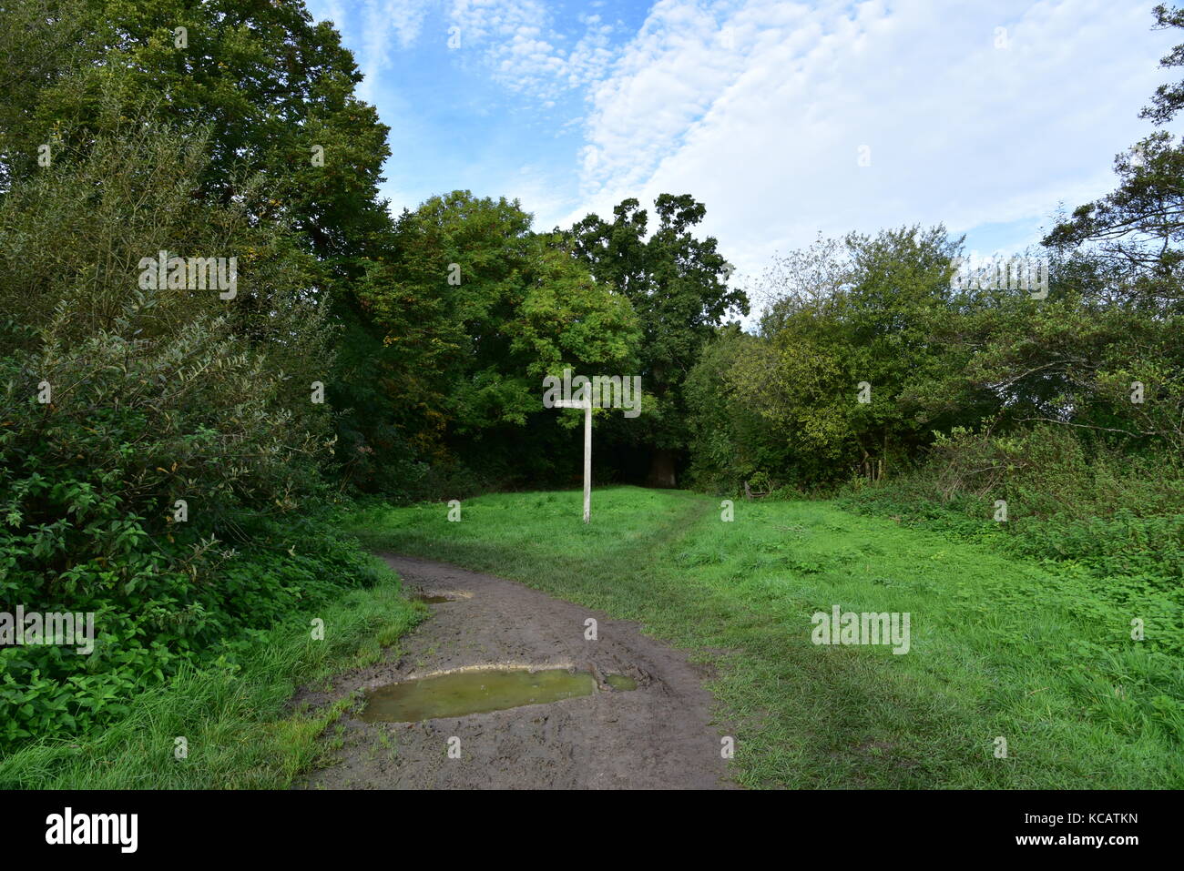 Bournemouth, Royaume-Uni. Le 04 octobre, 2017 journée ensoleillée d'automne. dans le parc naturel de la vallée de la rivière stour, bournemouth. crédit : Ajit wick/Alamy live news Banque D'Images