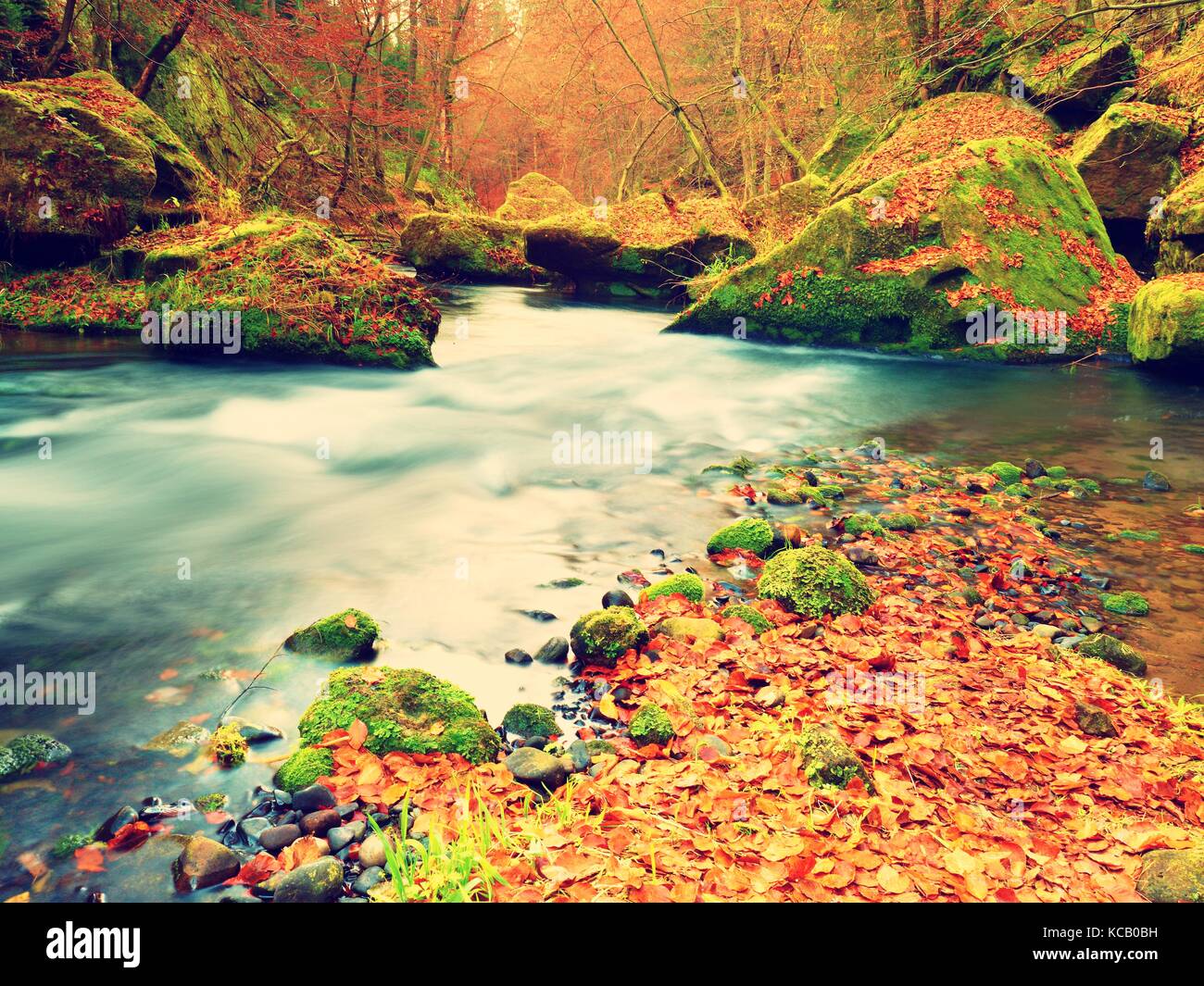 Banque de Stony Mountain river automne couvertes par Orange feuilles de hêtre frais feuilles colorées. sur les branches au-dessus de l'eau faire la réflexion Banque D'Images