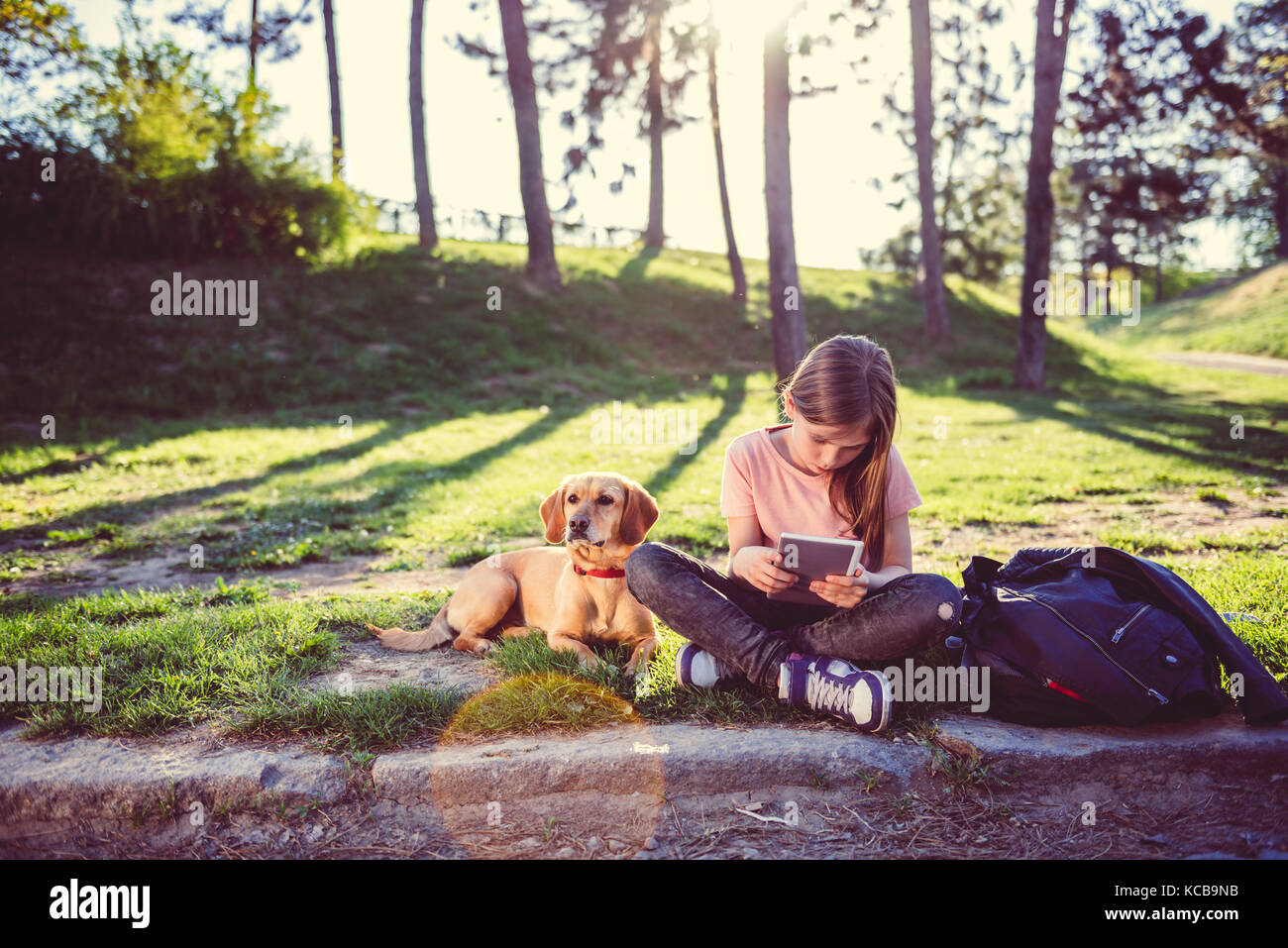Fille assise dans le parc avec un chien et à l'aide de tablet Banque D'Images
