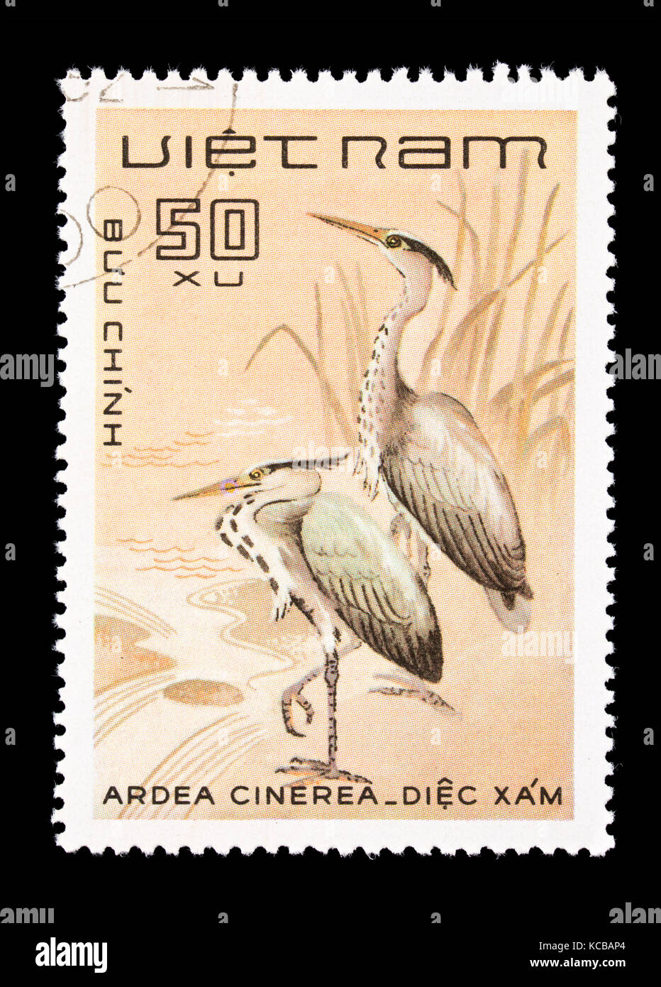 Timbre-poste du Vietnam représentant héron cendré (Ardea cinerea) Banque D'Images