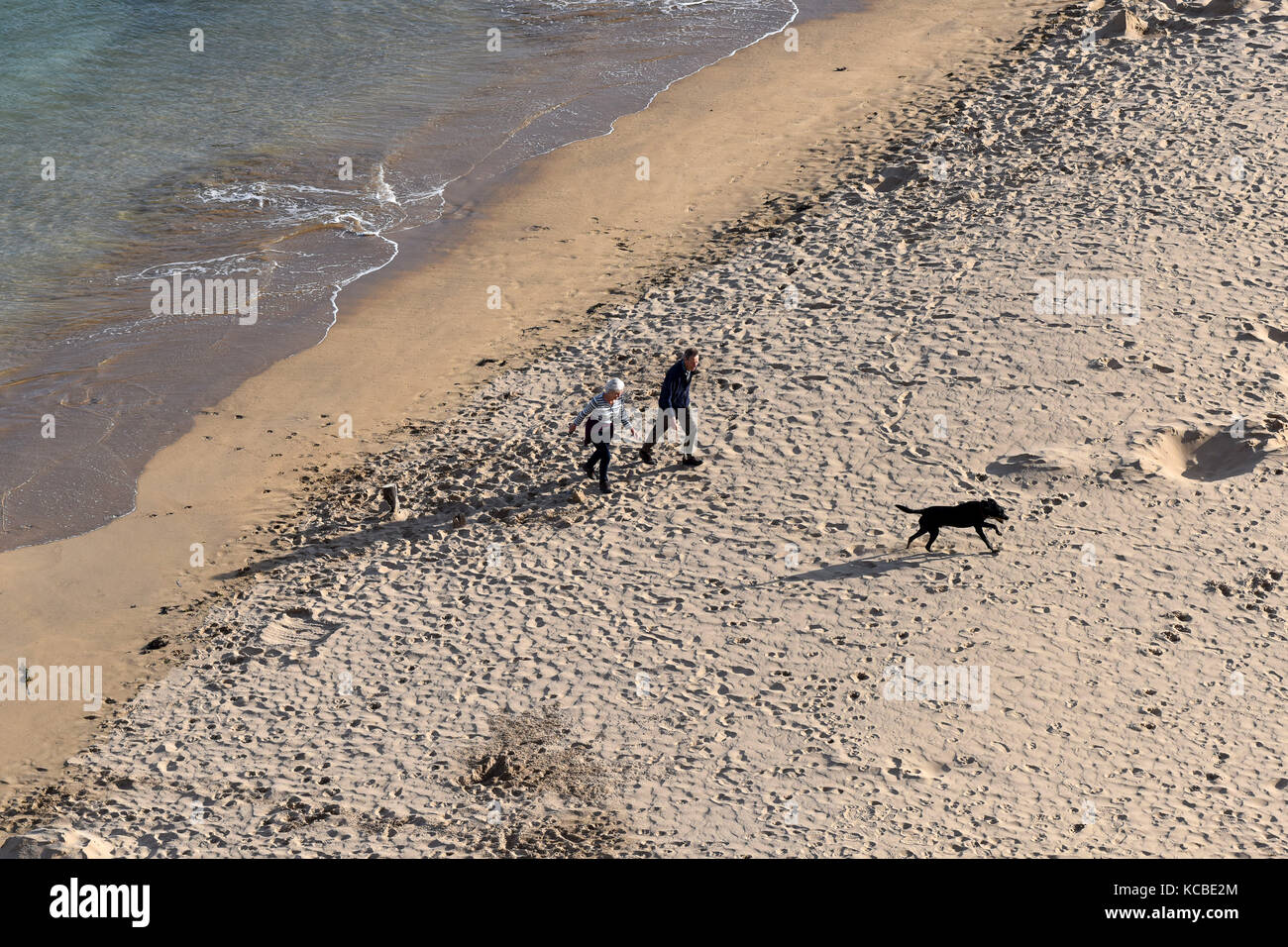 Couple avec chien sur la plage à Barafundle Bay dans la région de Pembrokeshire, pays de l'ouest du pays de Galles, Royaume-Uni Banque D'Images