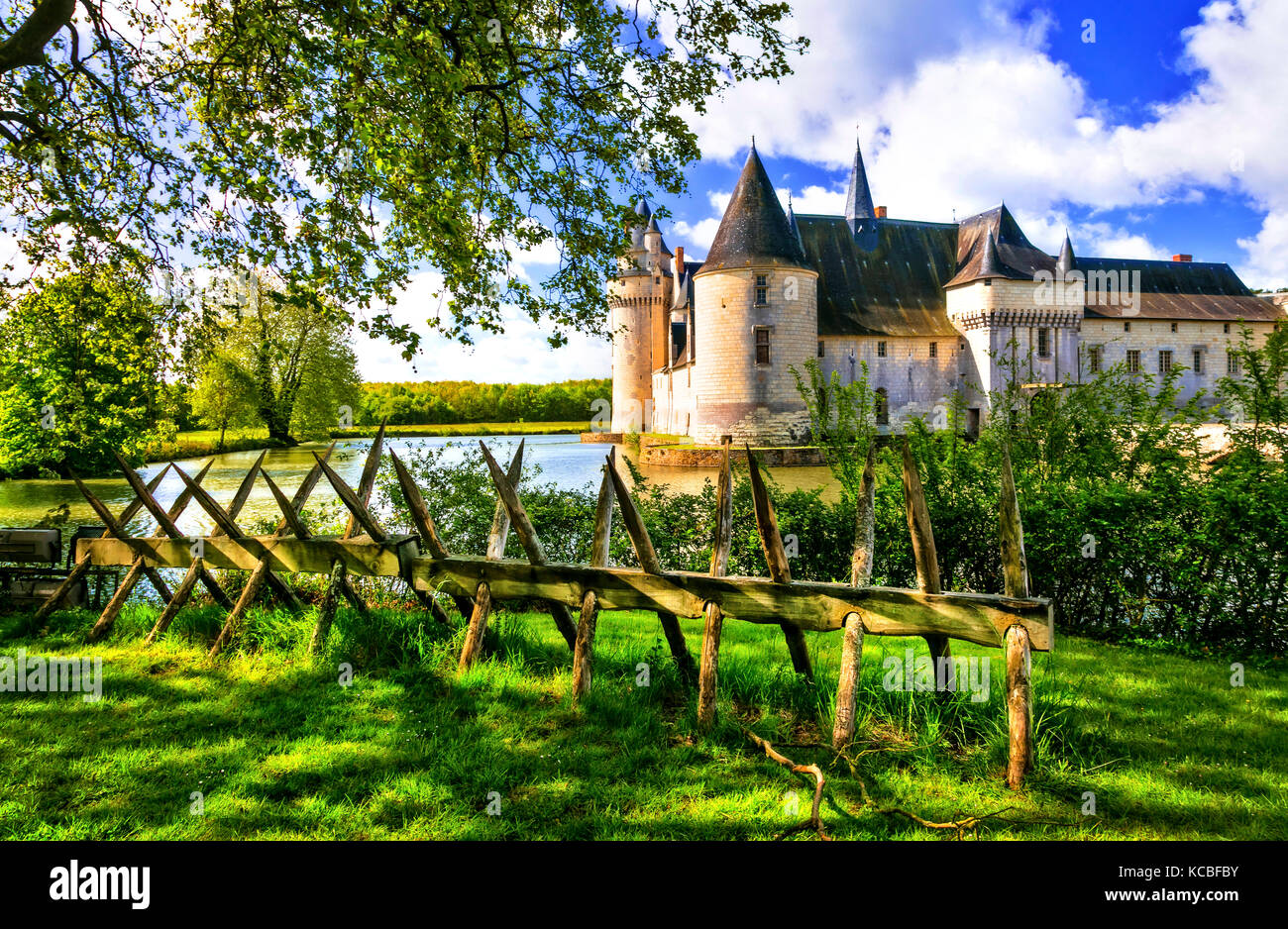 Châteaux romantiques de la vallée de la loire - plessis-bourre. France Banque D'Images