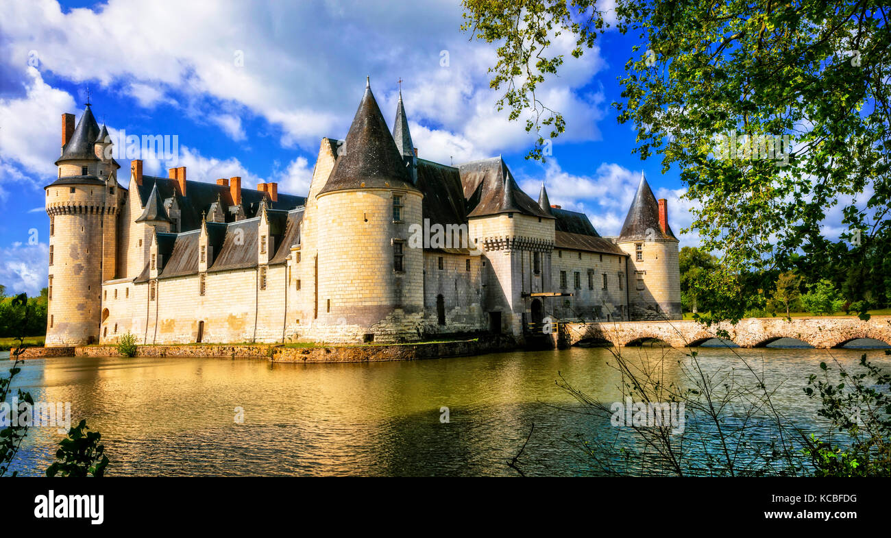 Châteaux romantiques de la vallée de la loire - plessis-bourre. France Banque D'Images
