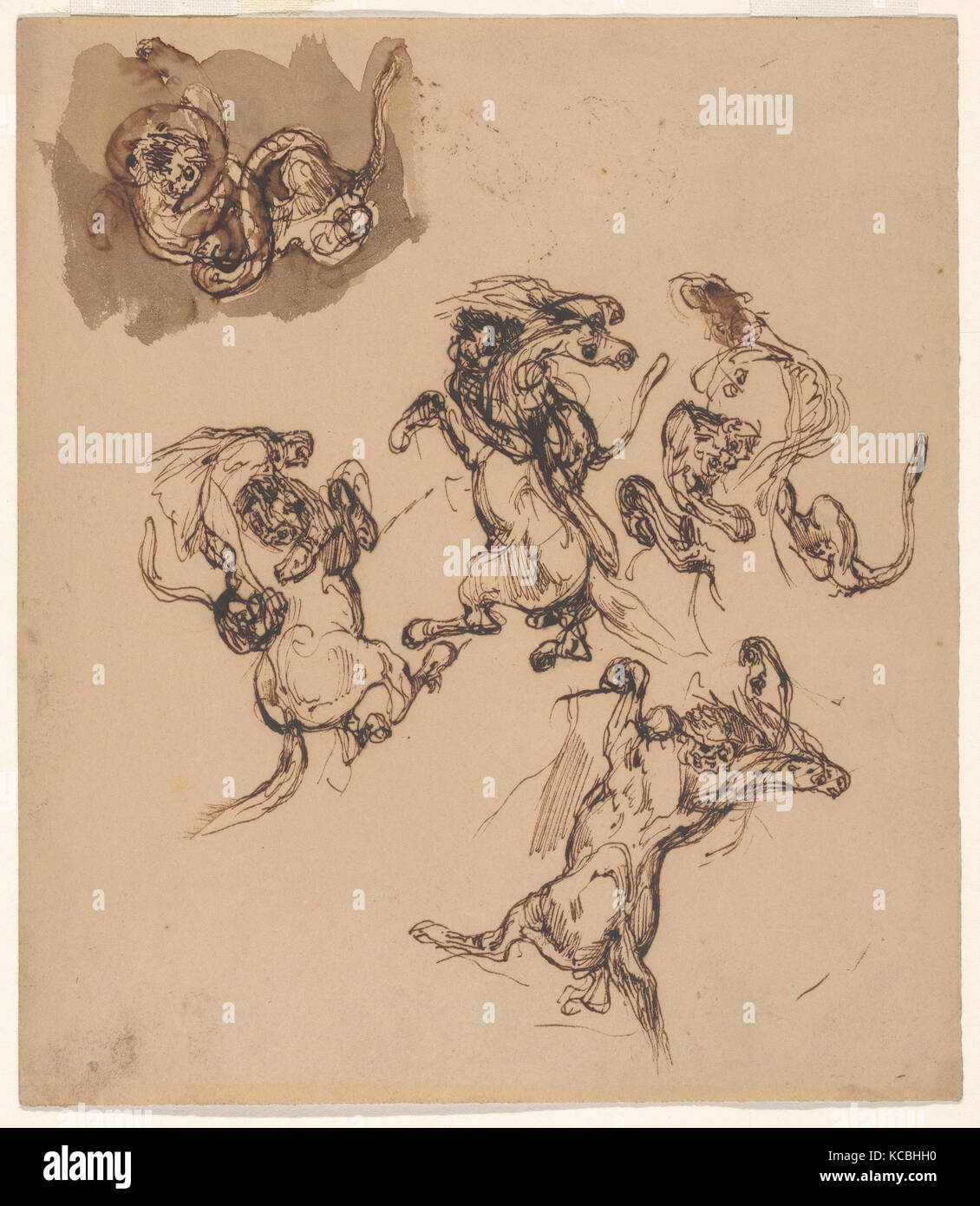 Des études d'élevage d'un cheval attaqué par un lion, un lion aux prises avec un serpent, Eugène Delacroix, 1820-63 Banque D'Images