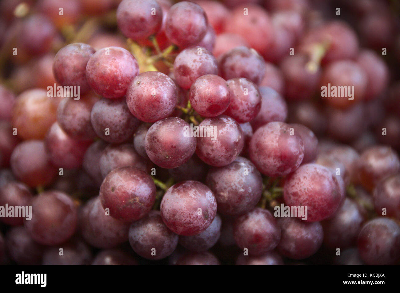 Grappe de raisins Bunch Red Bulk Table Wine Farmers Market fruits biologiques Fersh légumes Banque D'Images