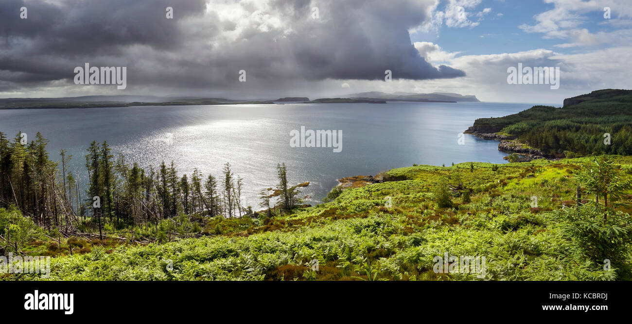 Arbres abattus des fouilleurs clandestins, utilisant Surplombant le Loch près de Dunvegan sur l'île de Skye, Écosse, Royaume-Uni. Banque D'Images