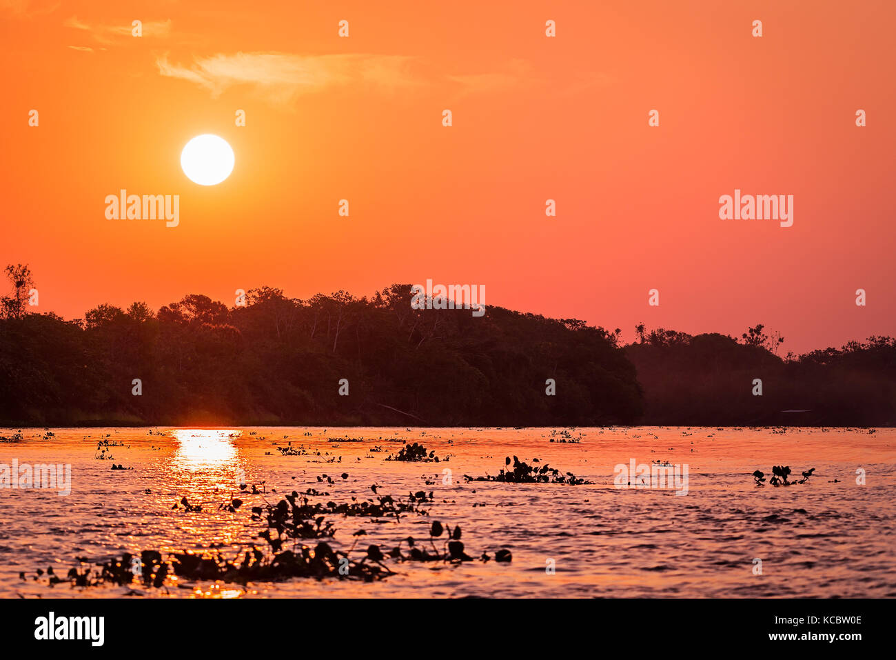 Coucher de soleil sur la rivière Cuiaba, Pocone, Pantanal du Nord, Brésil. Banque D'Images