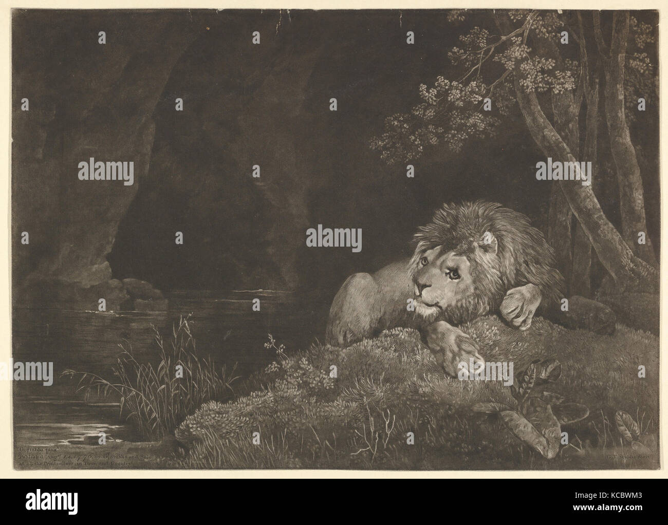 Le Lyon (Vélo de Lion par un Pool), George Stubbs Townley, Août 12, 1776 Banque D'Images
