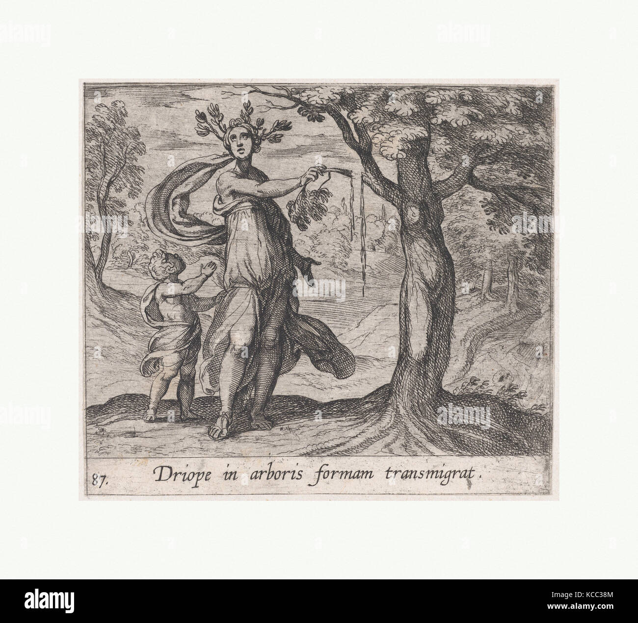 87 : Plaque Dryope changée en arbre Lotus (Driope dans arboris formam transmigrat), à partir d'Ovide a 'Metamorphoses', Antonio Tempesta Banque D'Images