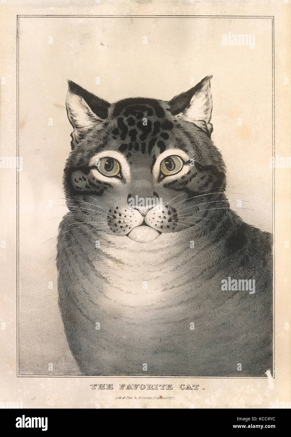 Le chat préféré, 1838-46, la main, lithographie, de droit : 12 3/16 × 8 11/16 in. (31 × 22 cm), d'impressions Banque D'Images