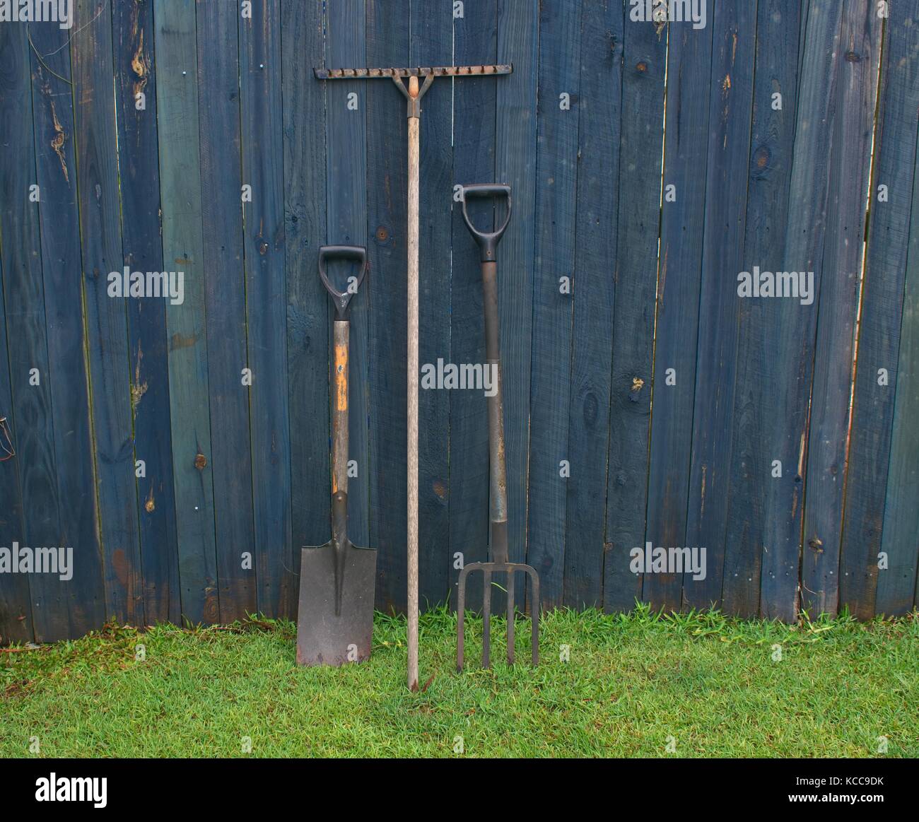 Permanent d'outils de jardinage dans l'herbe contre un mur bleu Banque D'Images