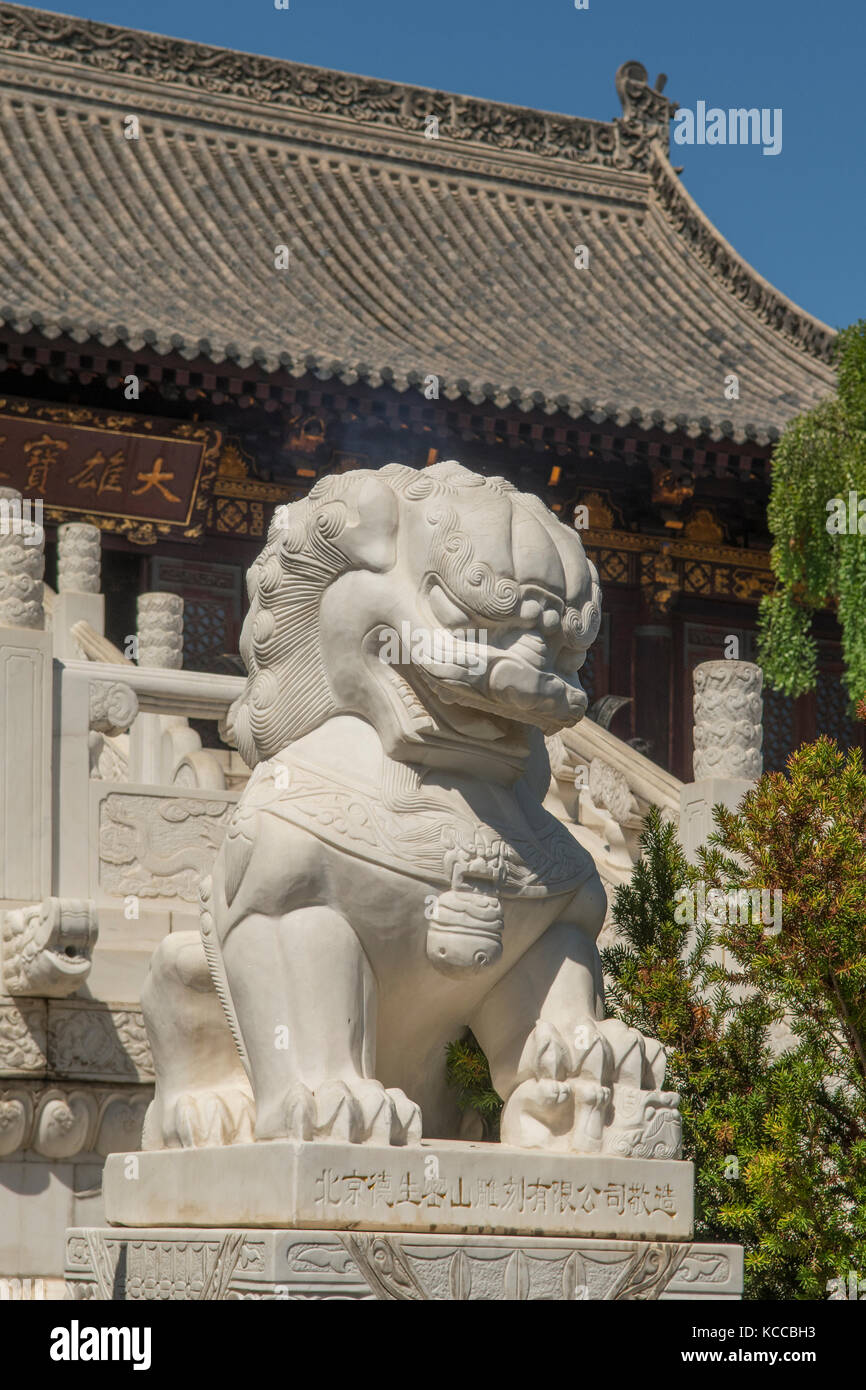 Statue de lion à la Pagode de l'oie, Xi'an, Chine Banque D'Images