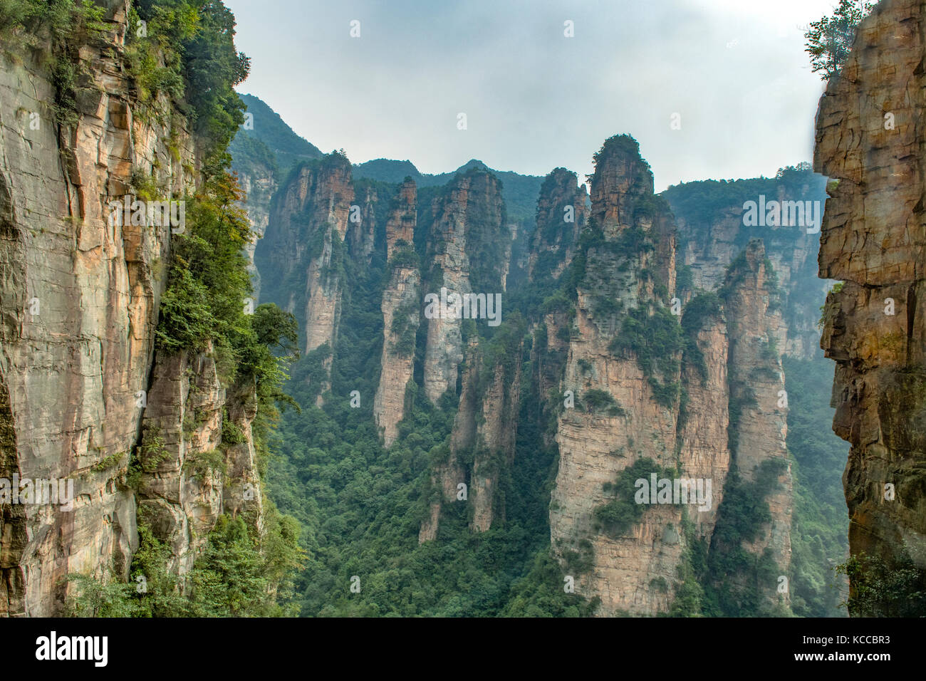 Vue de bailong ascenseur, yuanjiajie wulingyuan scenic area, Banque D'Images