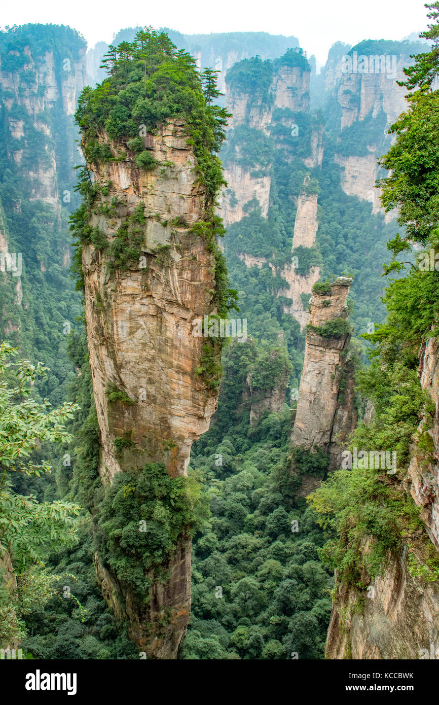 Mihuntai, yuanjiajie wulingyuan scenic area, Banque D'Images