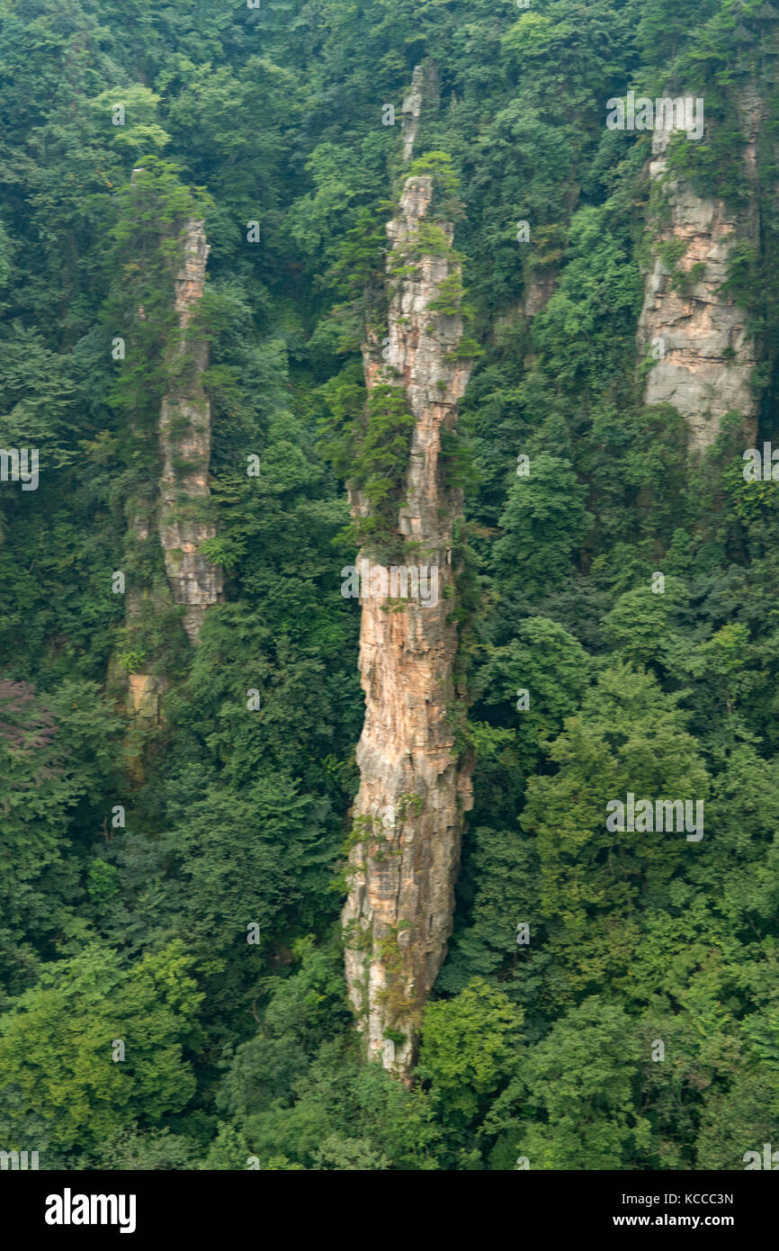 Vue depuis la montagne tianzi, yuanjiajie wulingyuan scenic area, Banque D'Images