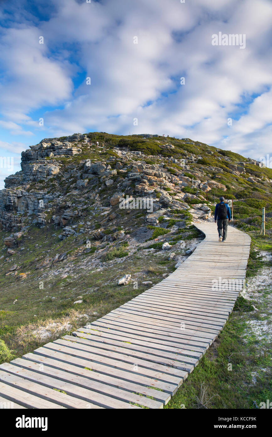 Homme randonnée au cap de Bonne Espérance, le parc national de Cape Point, Cape Town, Western Cape, Afrique du Sud (M.) Banque D'Images