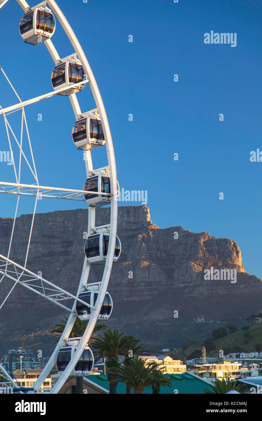 Roue du cap et la montagne de la table, v +a waterfront, Cape Town, Western Cape, Afrique du Sud Banque D'Images