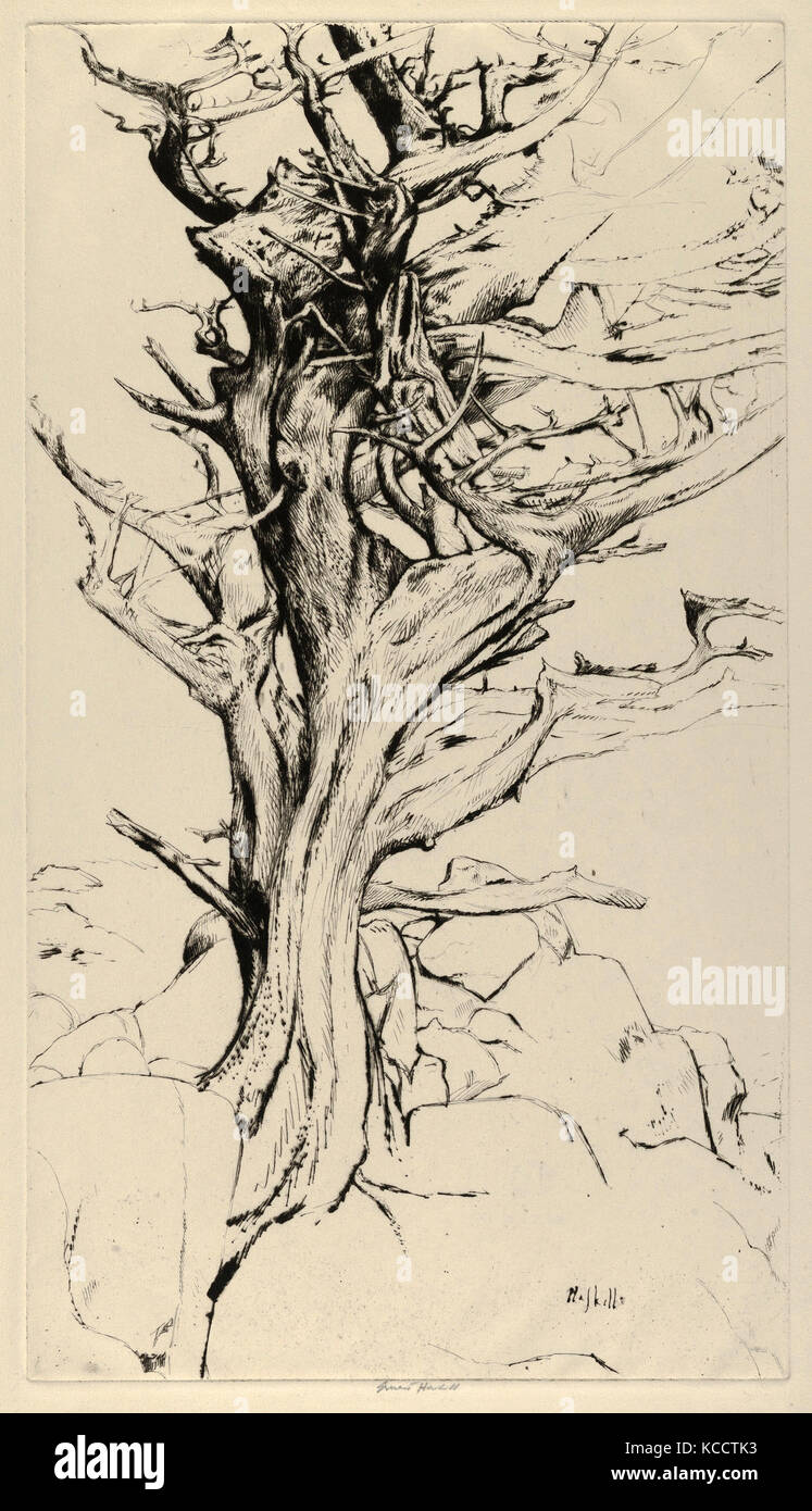 Dessins et estampes, Print, torse de la Sorcière, artiste, Ernest Haskell, American, Woodstock, Connecticut 1876-1925 West Point Banque D'Images