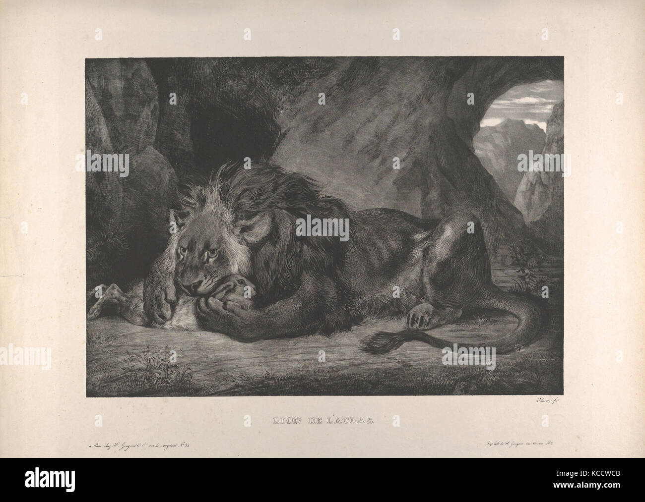 Lion de l'Atlas, Eugène Delacroix, 1829-30 Banque D'Images