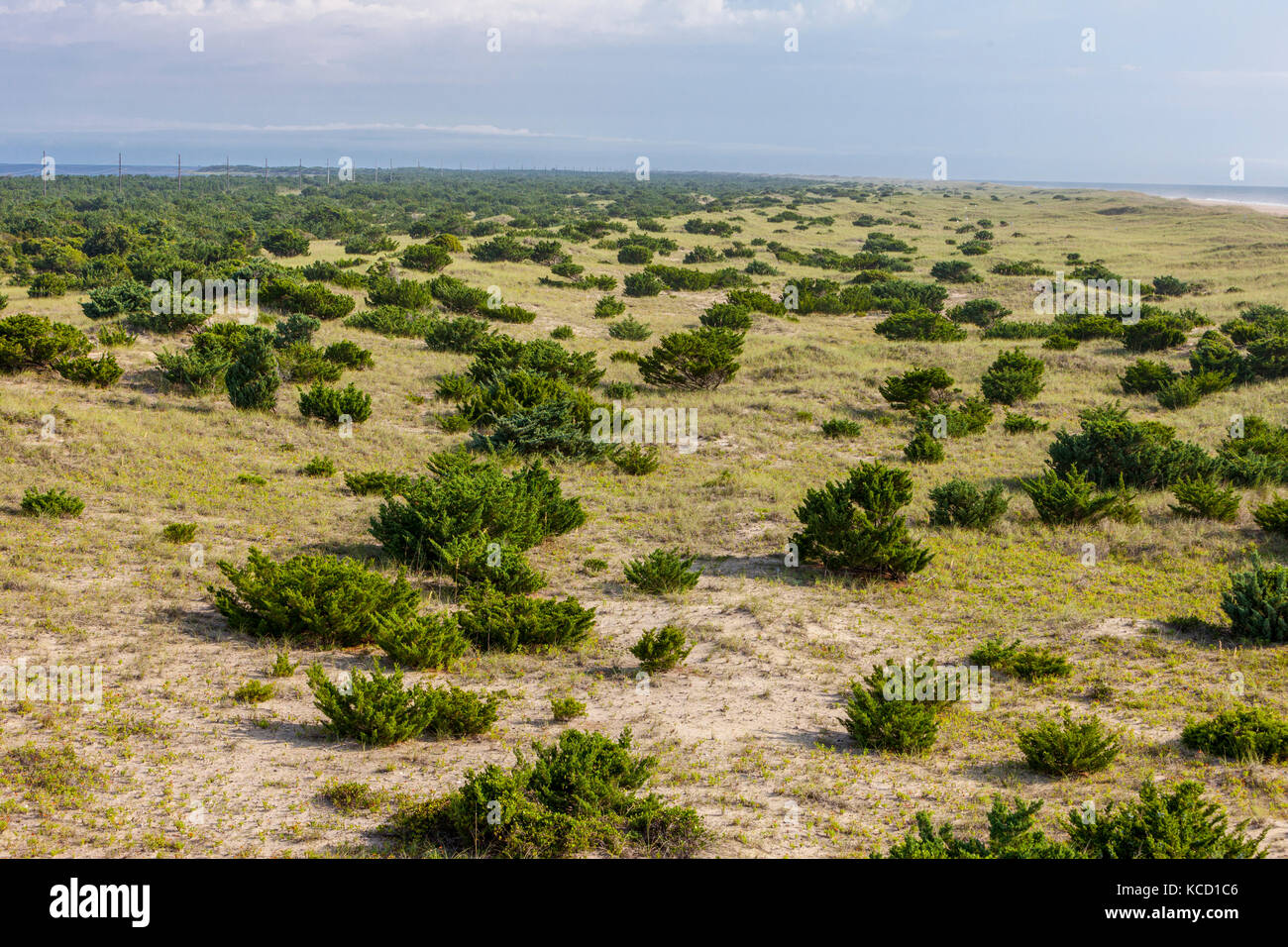 Avon, Outer Banks, Caroline du Nord, USA. La végétation sur une île-barrière se stabilise les dunes. L'Océan Atlantique En haut à droite, en haut à gauche son Currituck. Banque D'Images