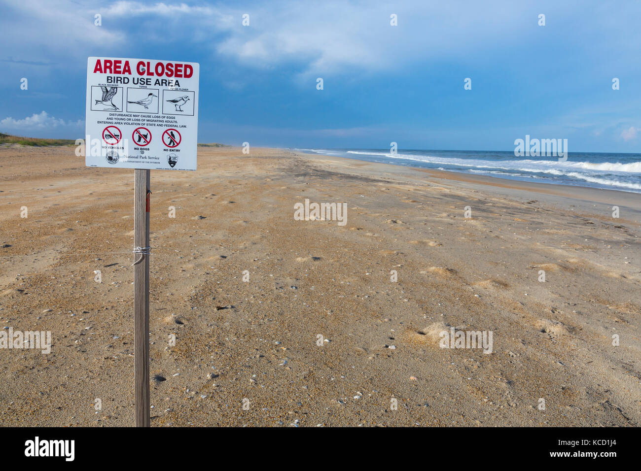 Avon, Outer Banks, Caroline du Nord, USA. Signe d'oiseaux, Cape Hatteras National Seashore. Banque D'Images