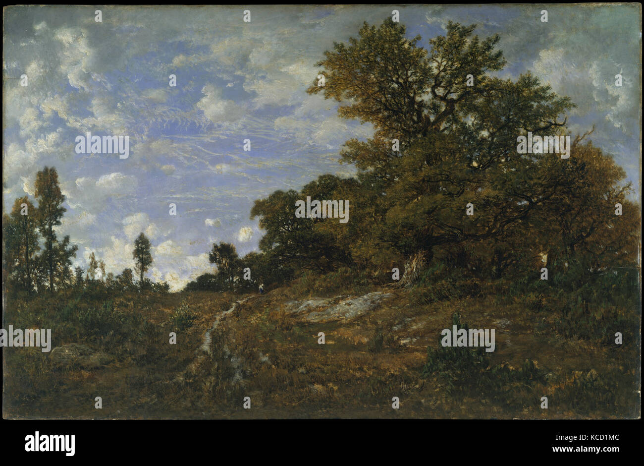 L'Orée du Bois à Monts-Girard, forêt de Fontainebleau, Théodore Rousseau, 1852-54 Banque D'Images