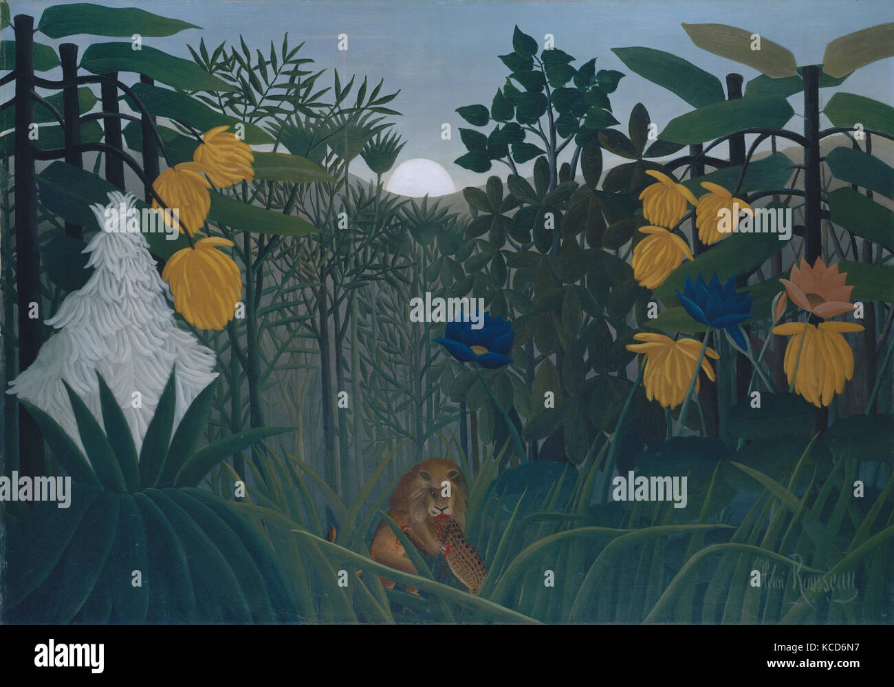 Le repas du Lion, ca. 1907, huile sur toile, 44 x 63 3/4 in. (113,7 x 160 cm), peintures, Henri Rousseau (le Douanier Banque D'Images