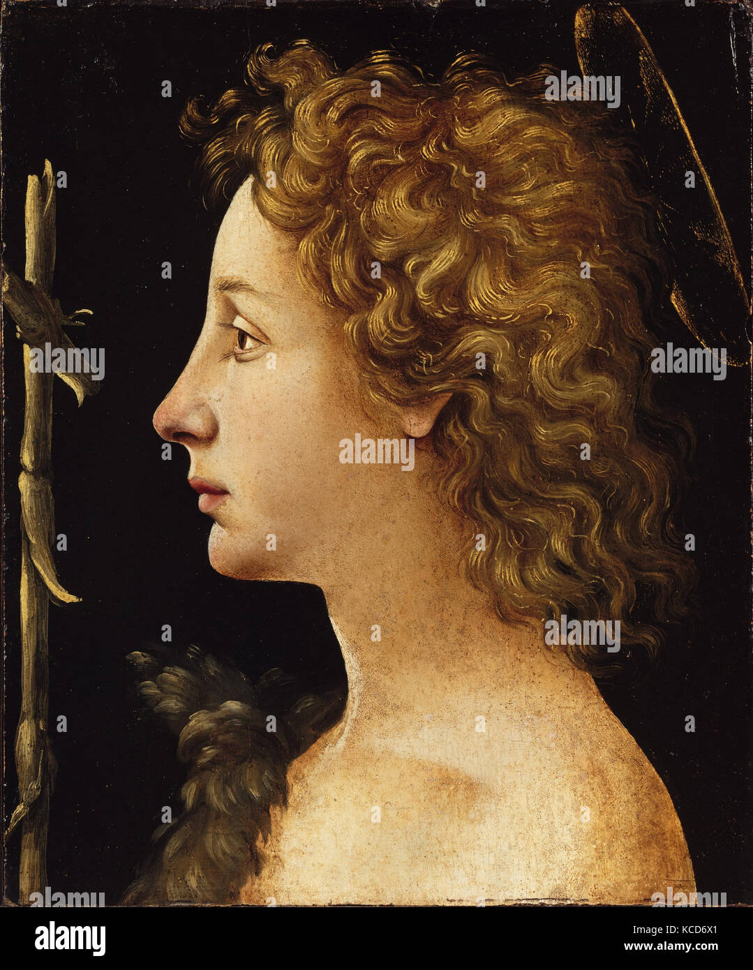 Le jeune Saint Jean-Baptiste, Tempera et huile sur bois, 11 1/2 x 9 1/4 in. (29,2 x 23,5 cm), peintures, Piero di Cosimo Banque D'Images