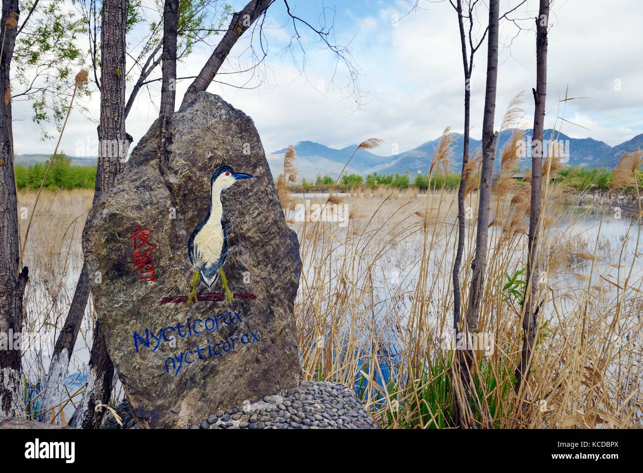 Lashi lac à Lijiang lashihai réserve naturelle des zones humides du plateau du Yunnan, li et naxi. D'importantes minorités ethniques et d'importantes migrations d'oiseaux. vue nord Banque D'Images