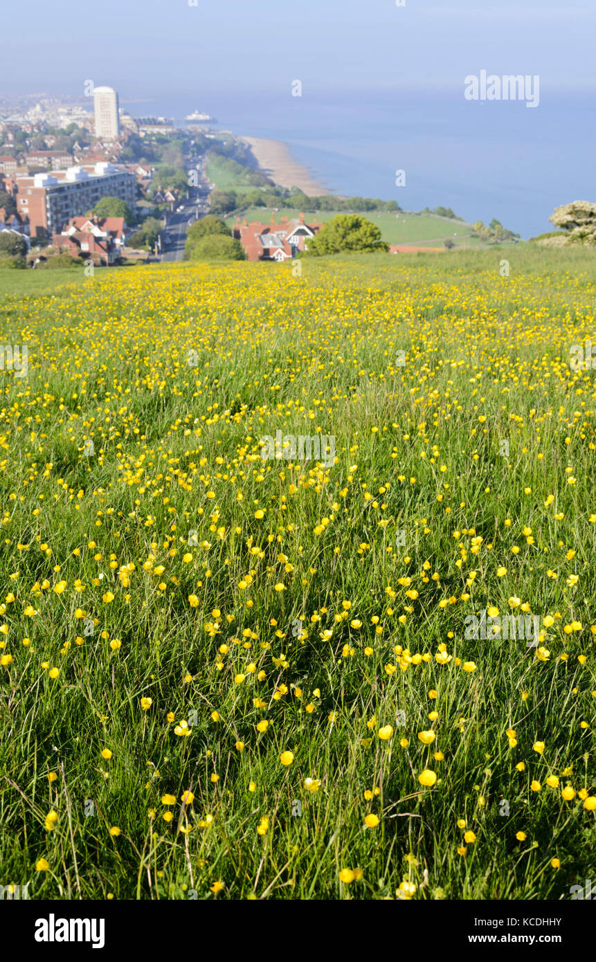 Paysage côtier, Beachy Head, le parc national des South Downs, Grande-Bretagne Banque D'Images