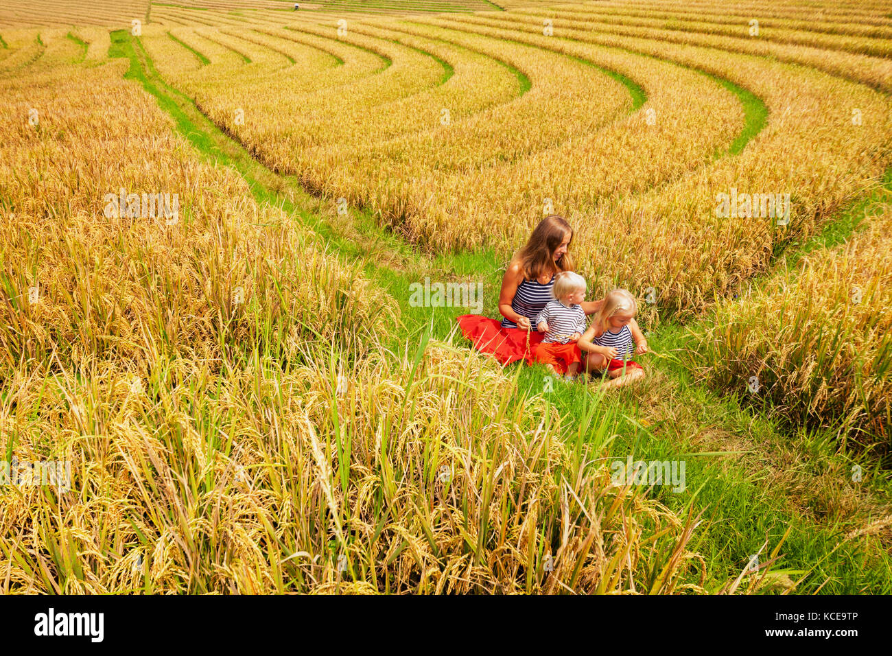 Heureuse mère, fille, bébé marche avec in terrasse plantation avec riziculture. Belle vue sur champs traditionnels. billet d'aventure avec ch Banque D'Images