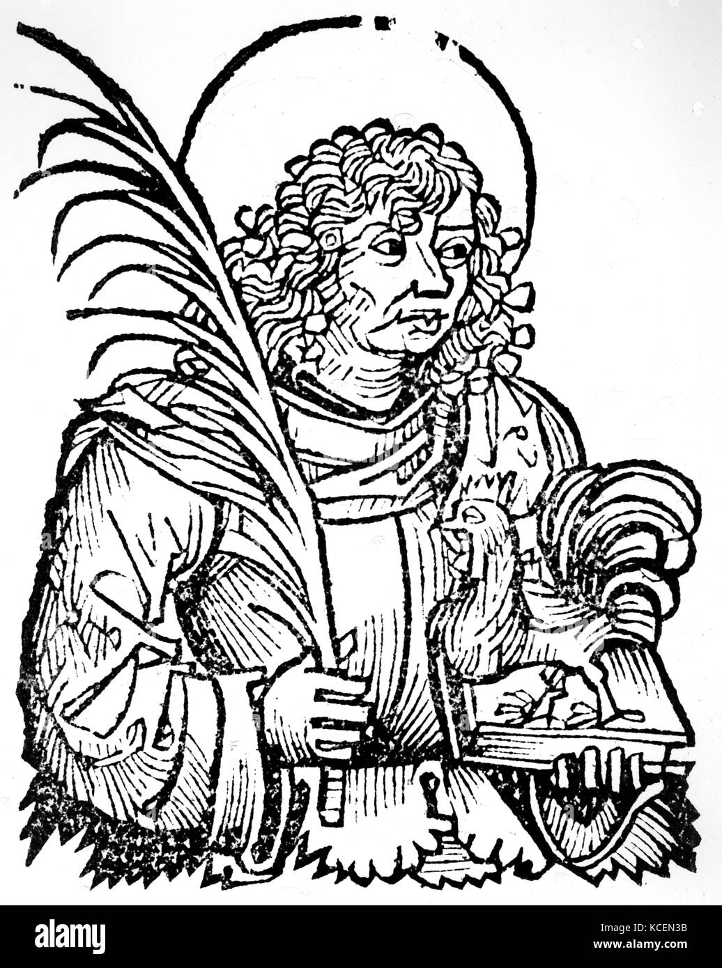 Saint Vitus, selon la légende chrétienne, était un saint chrétien à partir de la Sicile. Il est mort en martyr lors de la persécution des chrétiens par co-décision empereurs romains Dioclétien et Maximien en 303. Coupe de bois montrant Saint Vit, à partir de la salle : Chronique de Nuremberg, 1493 Banque D'Images