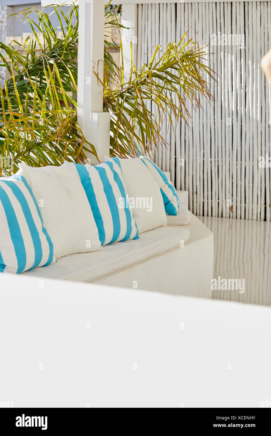 Coin salon extérieur avec palmiers et banc en bois Banque D'Images