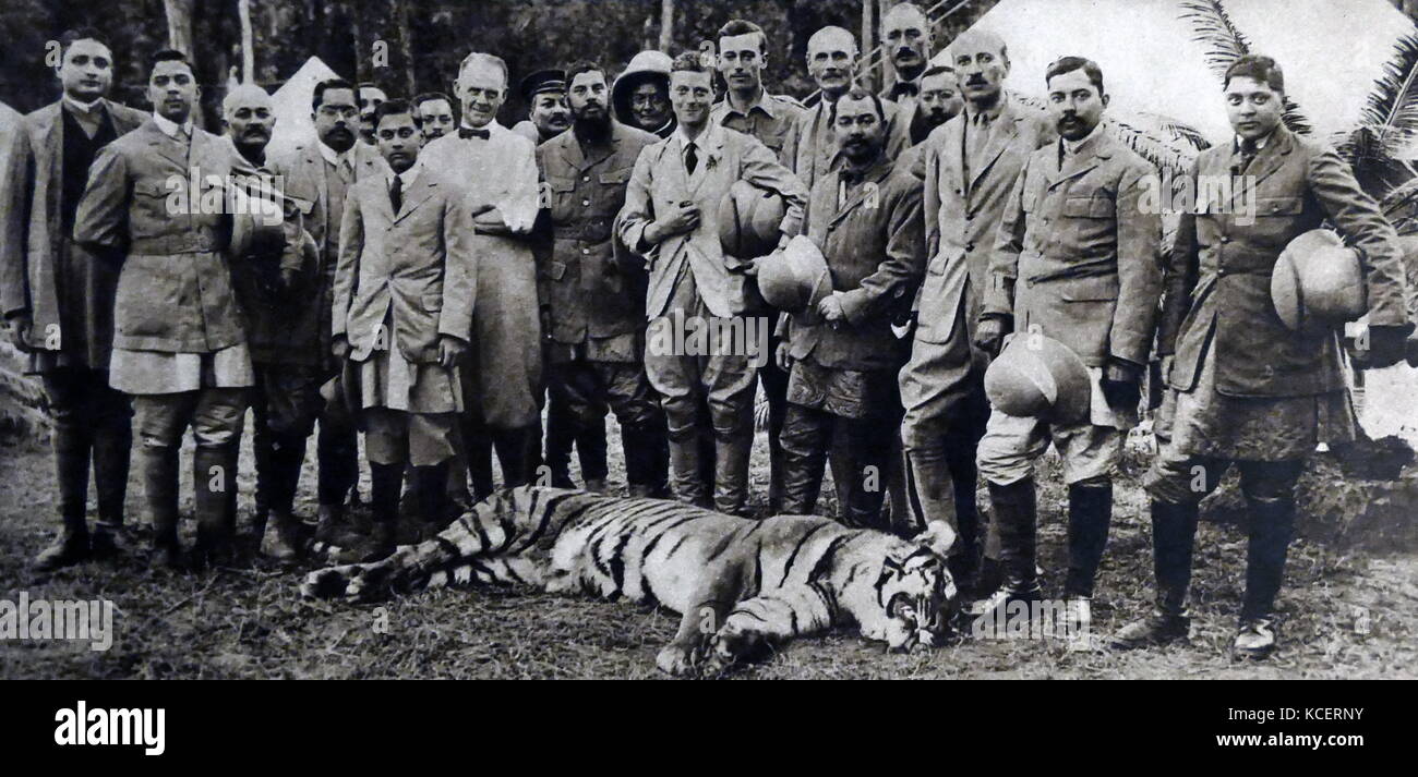 L'île (plus tard le roi Édouard VIII tigres chasse en Inde 1921 Banque D'Images