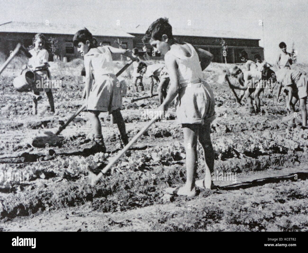Les enfants au travail dans un jardin au moshav Ben Shemen, à l'origine fondée en 1905, comme l'un des premiers villages établis sur des terres du Fonds national juif. Le village de jeunes de Ben Shemen a été créé à côté du moshav en 1927 Banque D'Images