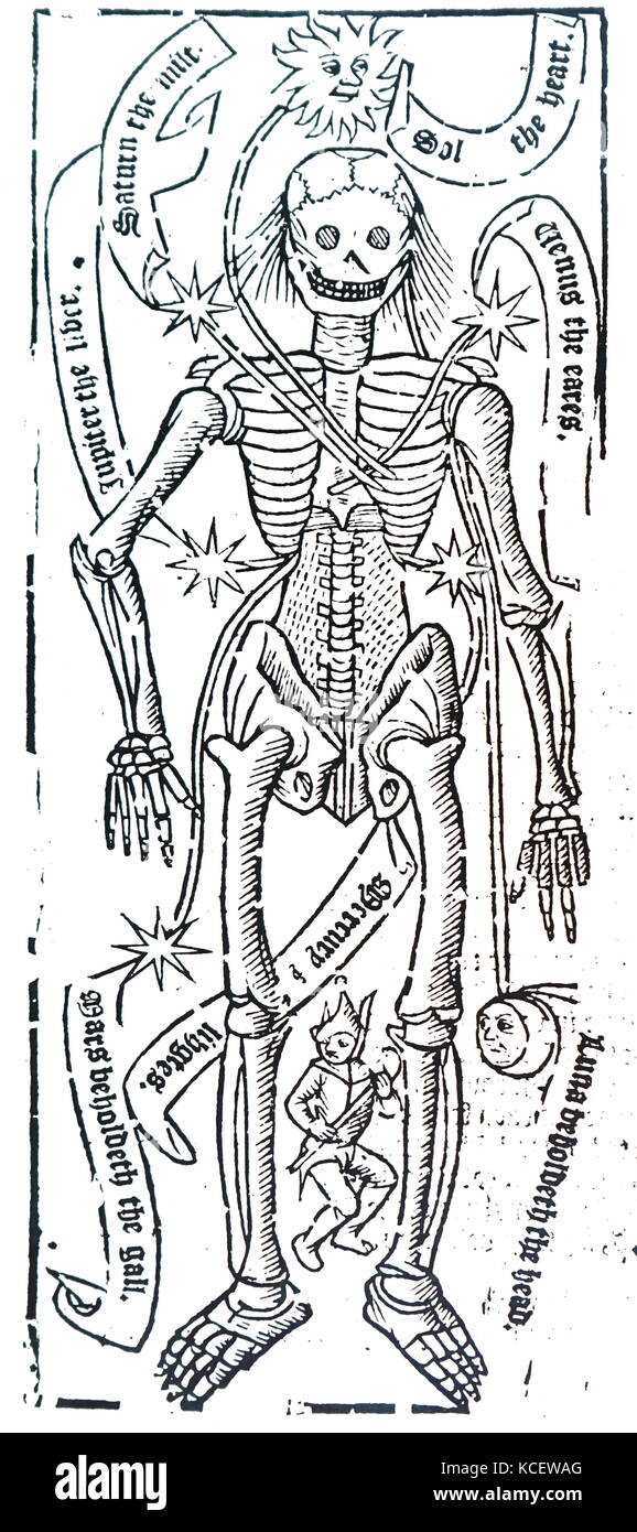 Les organes du corps et de l'influence des planètes sur elles par Robert Fludd (1574-1637) un médecin anglais Paracelsian avec tant scientifique que des intérêts occultes. En date du 17e siècle Banque D'Images