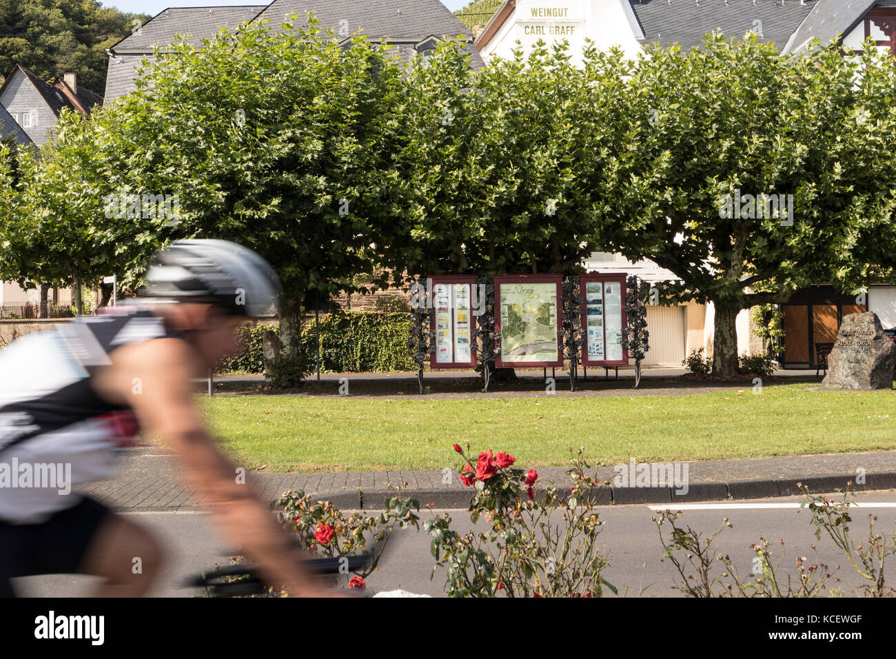 Cartes et plans d'information touristique dans la ville de Urzig, dans la vallée de la Moselle, Allemagne Banque D'Images