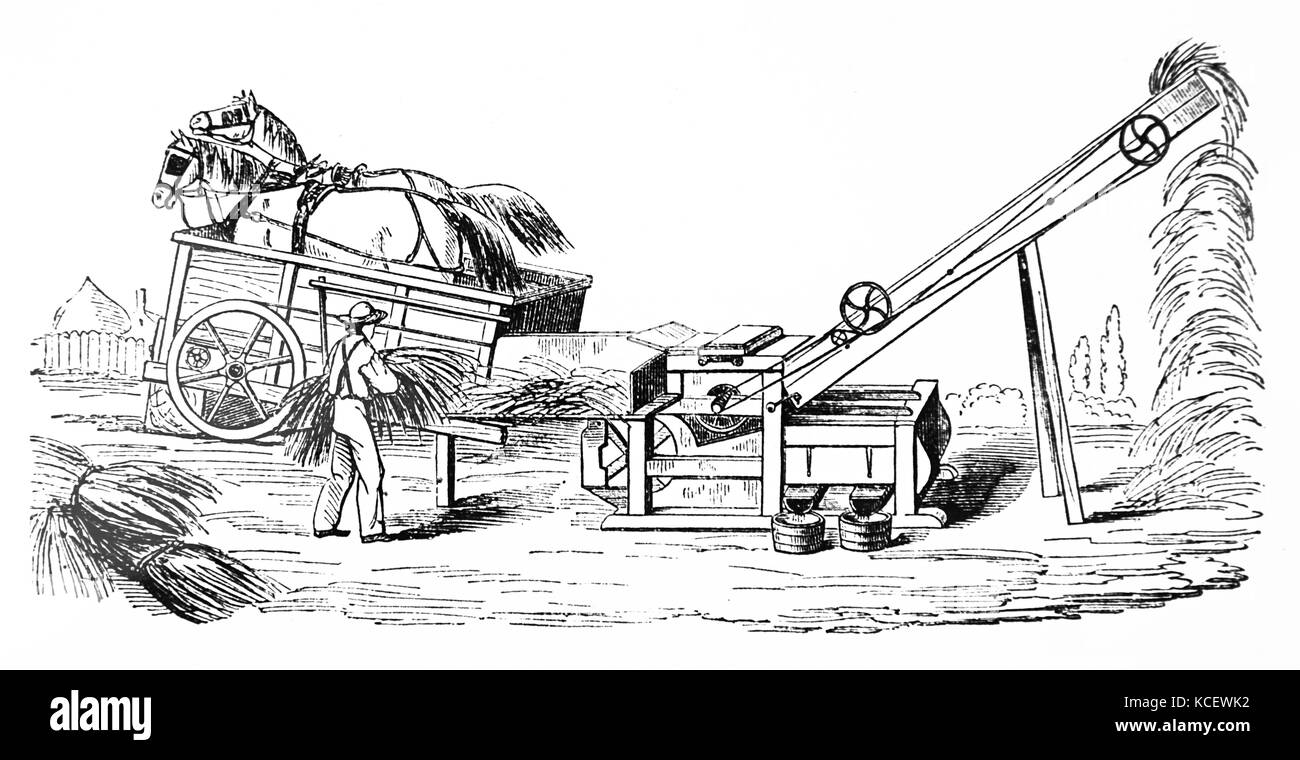Gravure illustrant une batteuse et exploité par les chevaux. En date du 19e siècle Banque D'Images