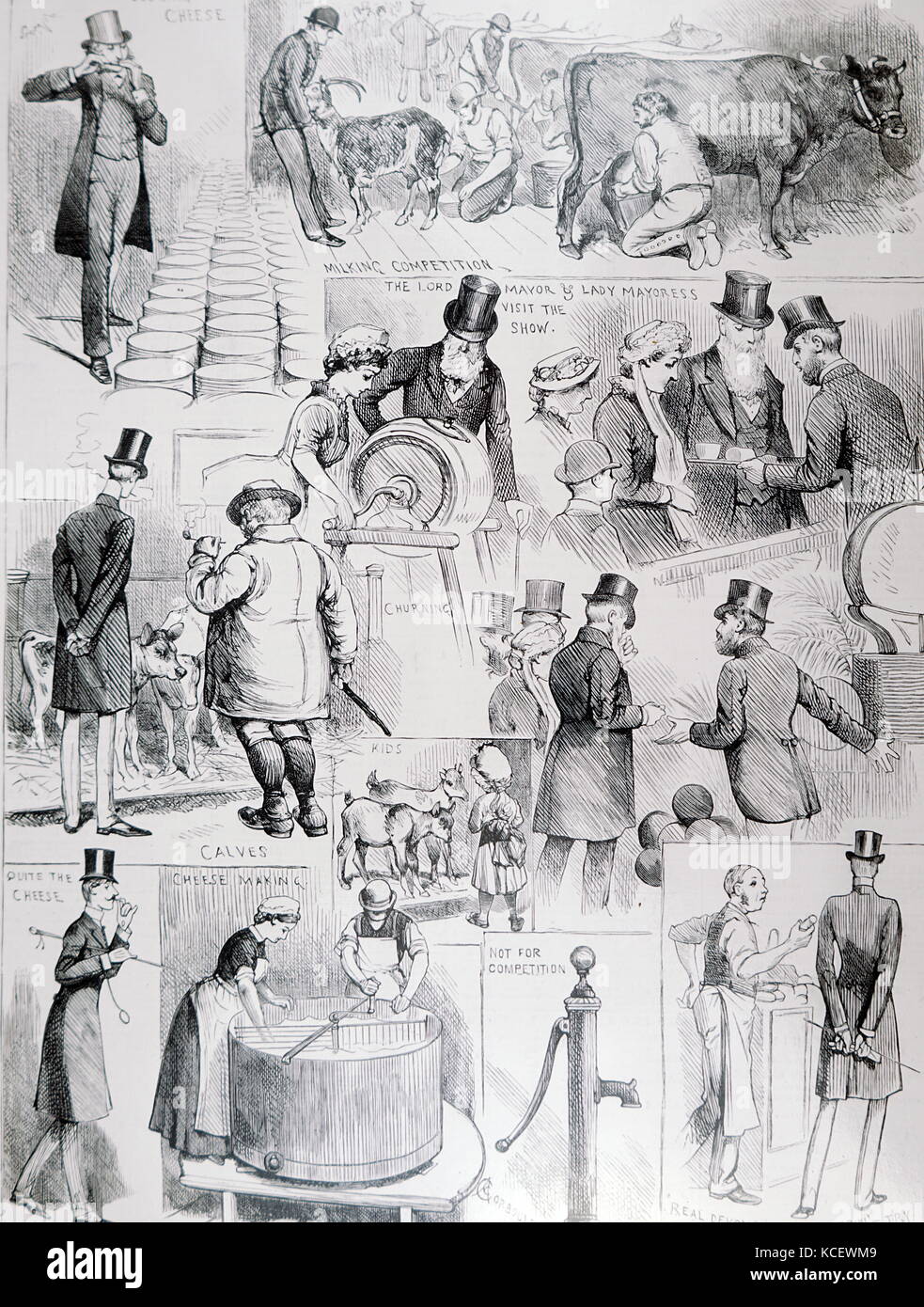 Illustration représentant des scènes de la dairy show à l'Agricultural Hall à Islington, tenu par les Anglais Dairy Farmer's Association. En date du 19e siècle Banque D'Images