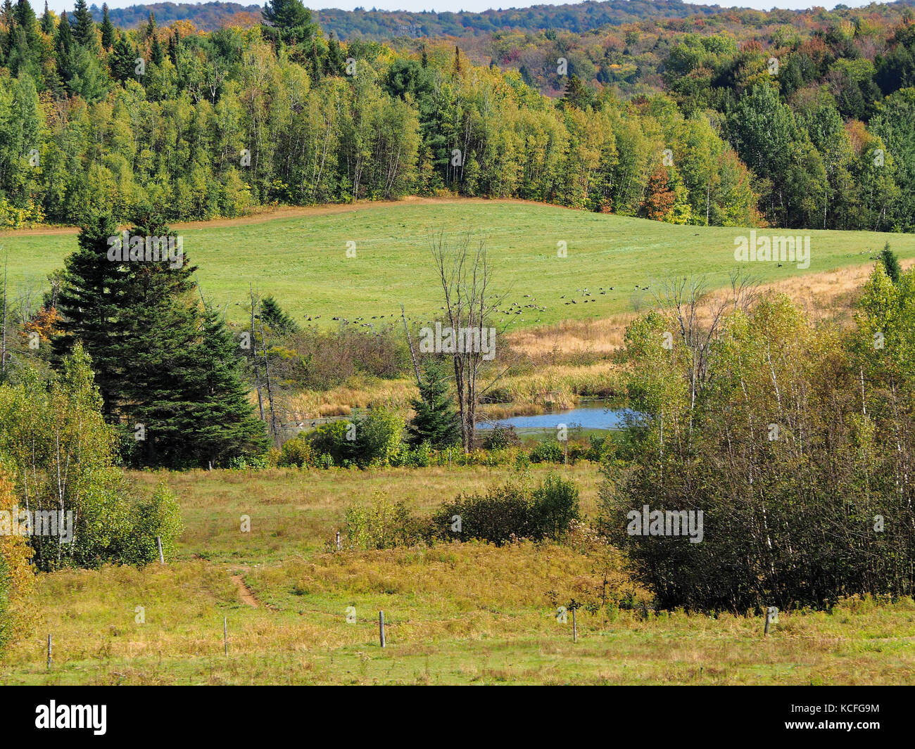 Québec, Canada. Paysage agricole à Rawdon Banque D'Images