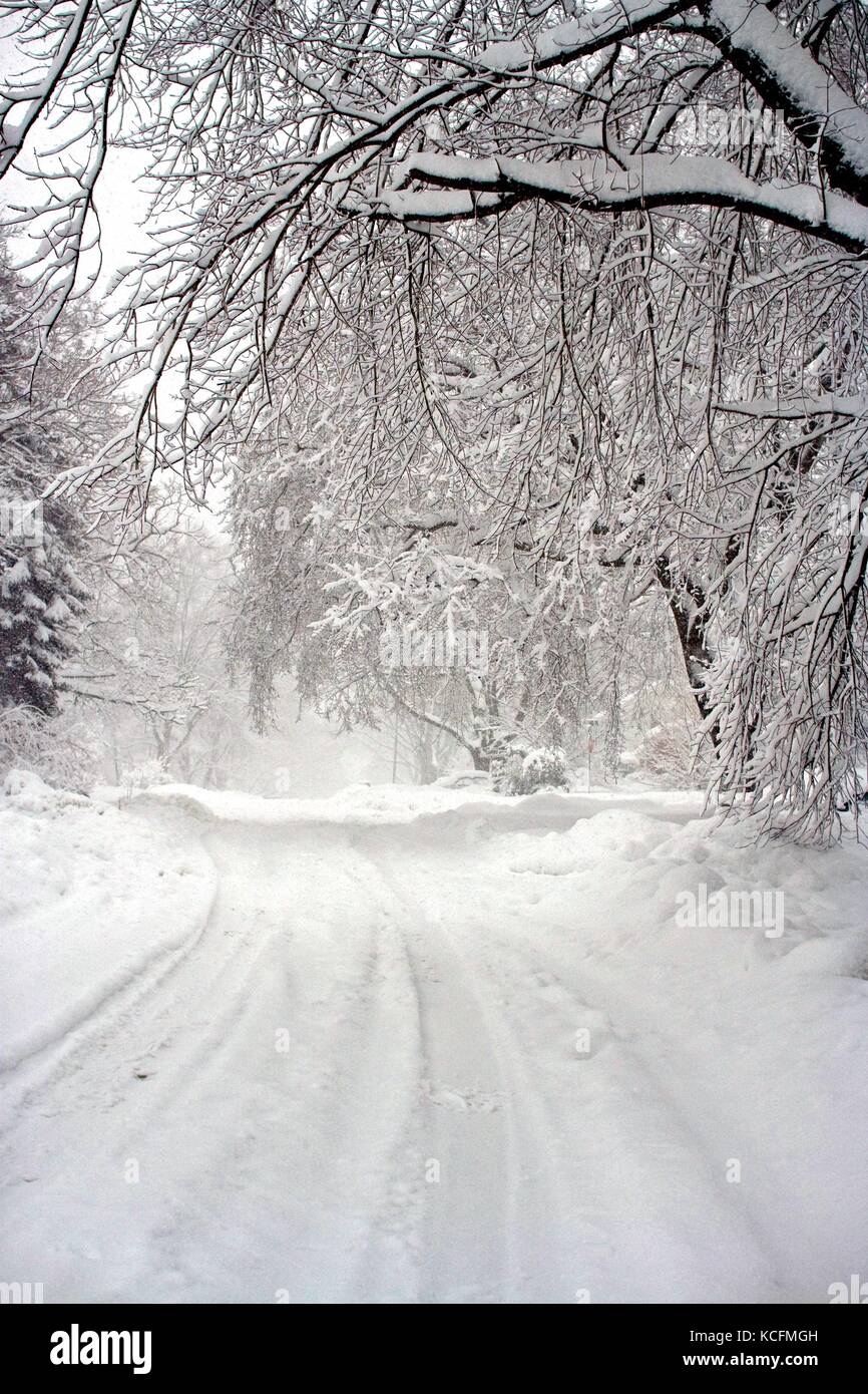 La neige profonde crée une féérie hivernale à la suite d'une tempête de neige. Banque D'Images